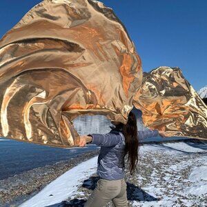 Treasures in Heaven Champagne Metallic Flowy Worship Praise Flags Set of 2